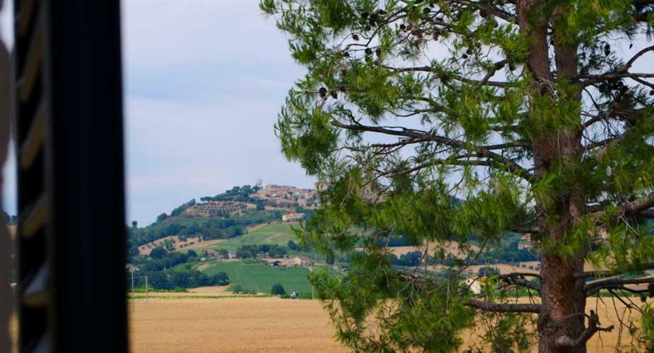 B&B Armonia Montecosaro  Buitenkant foto